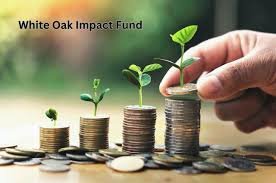 The White Oak Impact Fund: A Guide to Investing in the Future